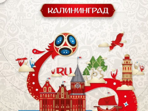 В Калининградской области торги позволили уменьшить стоимость формы волонтеров ЧМ-2018 на 50%