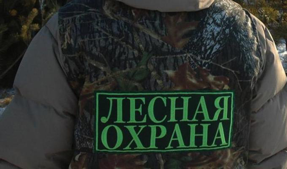 Лесной охране в Татарстане требуются новые автомобили