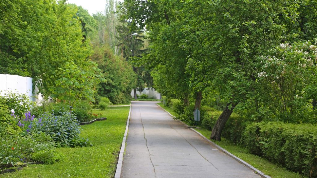 В Екатеринбурге проредят лесопарк за 1,9 млн руб.
