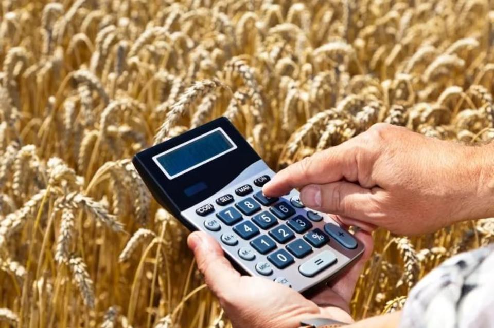 Власти Москвы увеличат субсидии для фермерских хозяйств