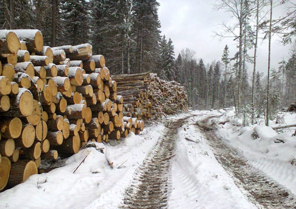 На закупку лесохозяйственной техники в 2019 г. выделят 3,5 млрд руб.