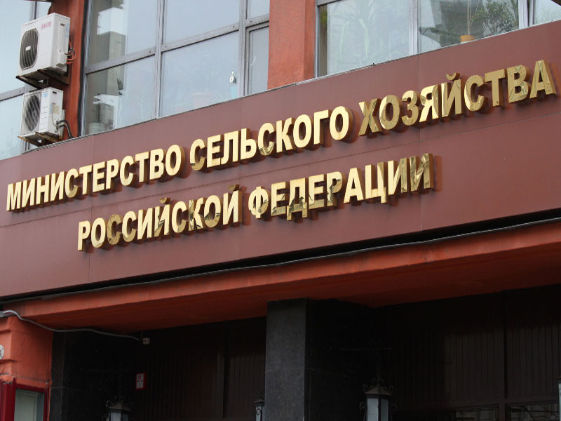 Минсельхоз подготовил поправки в закон для контроля качества закупаемого продовольствия