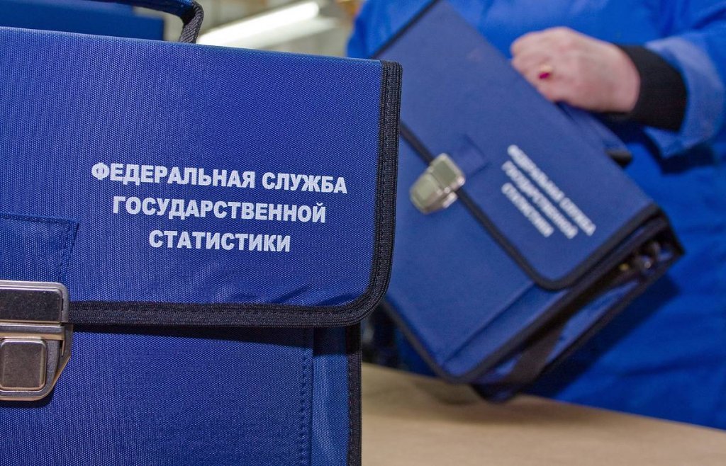 Росстат потратит 470 млн руб. на информирование о Всероссийской переписи населения